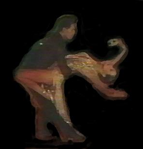 rumba3.jpg (7179 octets)